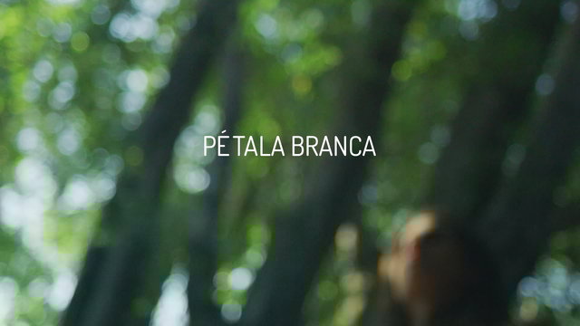 Pétala Branca