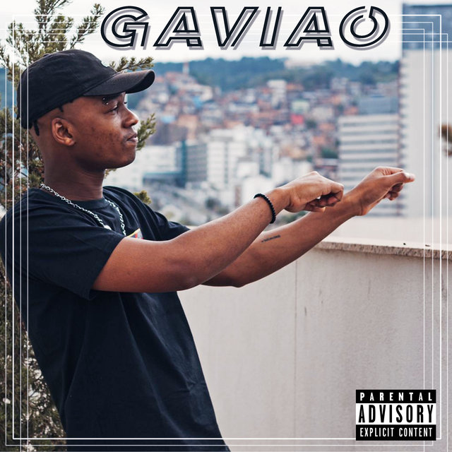 Gavião