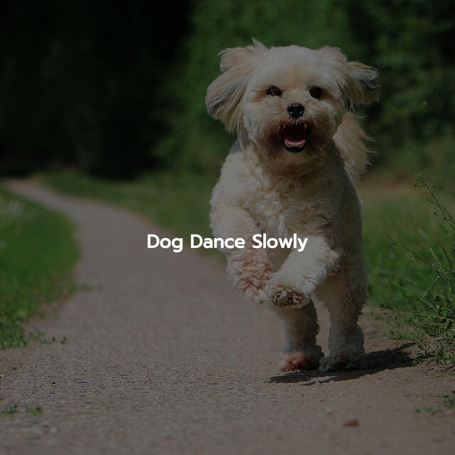 Dog Dance Slowly