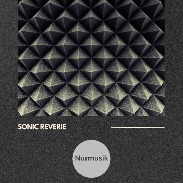 Sonic Reverie