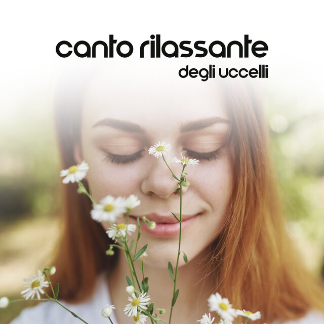 Canto rilassante degli uccelli (Chiudere gli occhi e rilassarsi)