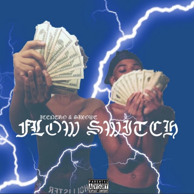 FLOW SWITCH