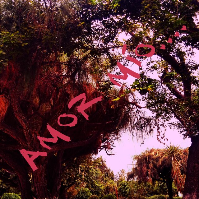 Amor Mio...