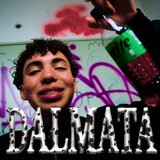 Dálmata