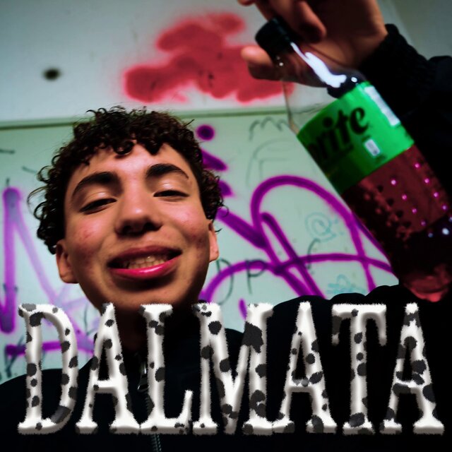 Dálmata