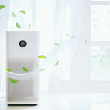 Air Purifier and Breathe Night Noise