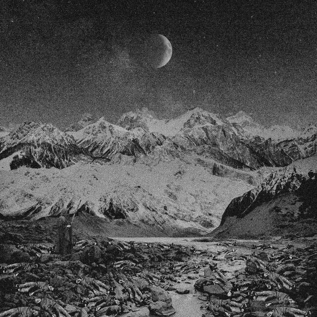 It Came Upon a Midnight Clear / The Fields Were Rotting