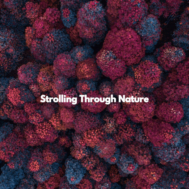 Strolling Through Nature
