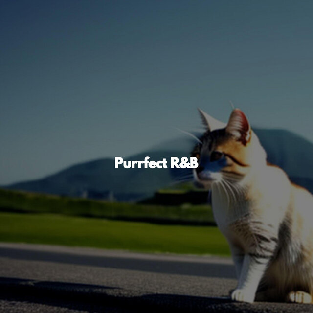 Purrfect R&B