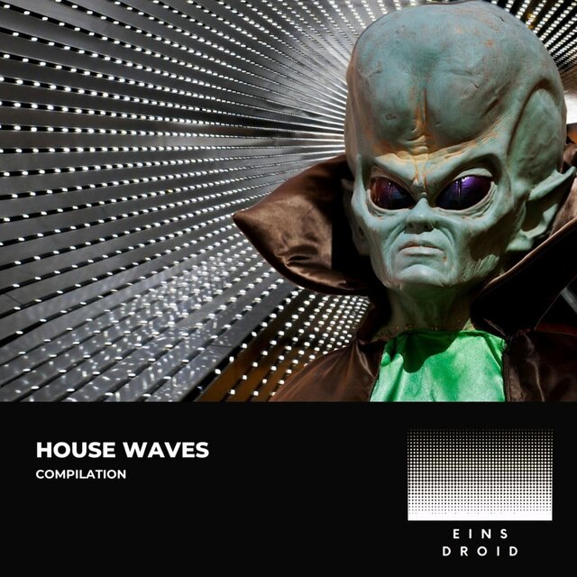 House Waves