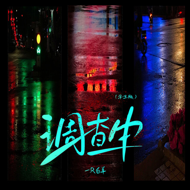 调查中 (DJ版)