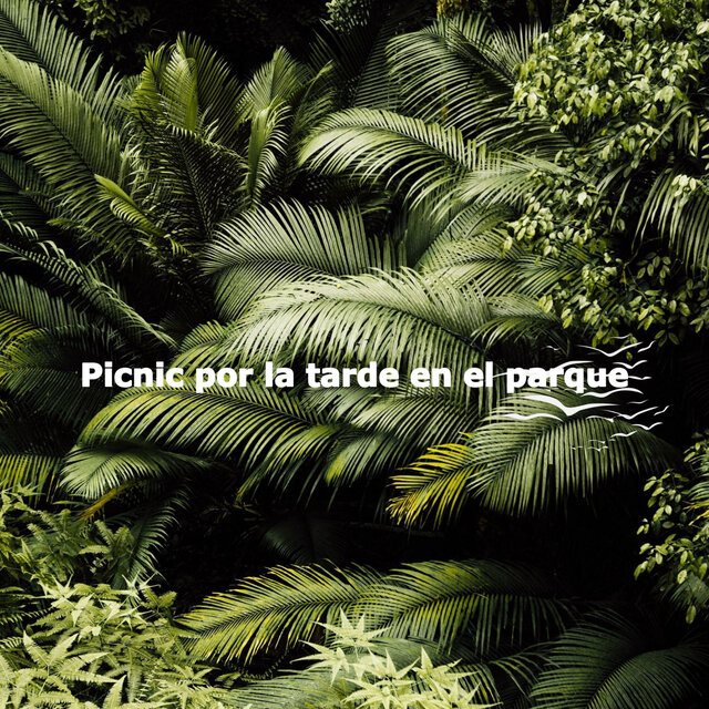 Picnic por la tarde en el parque