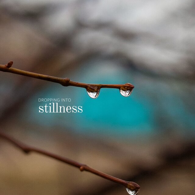 Dropping into Stillness