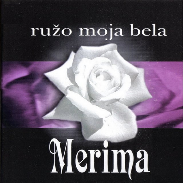 Ruzo moja bela