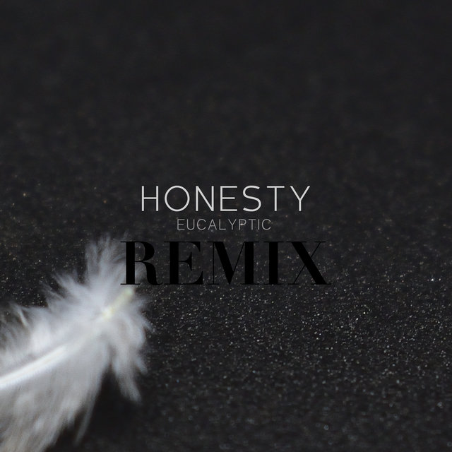 Honesty - Remix