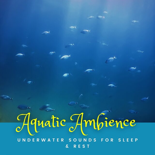Aquatic Ambience: Underwater Sounds for Sleep & Rest