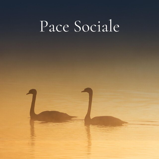 Pace Sociale