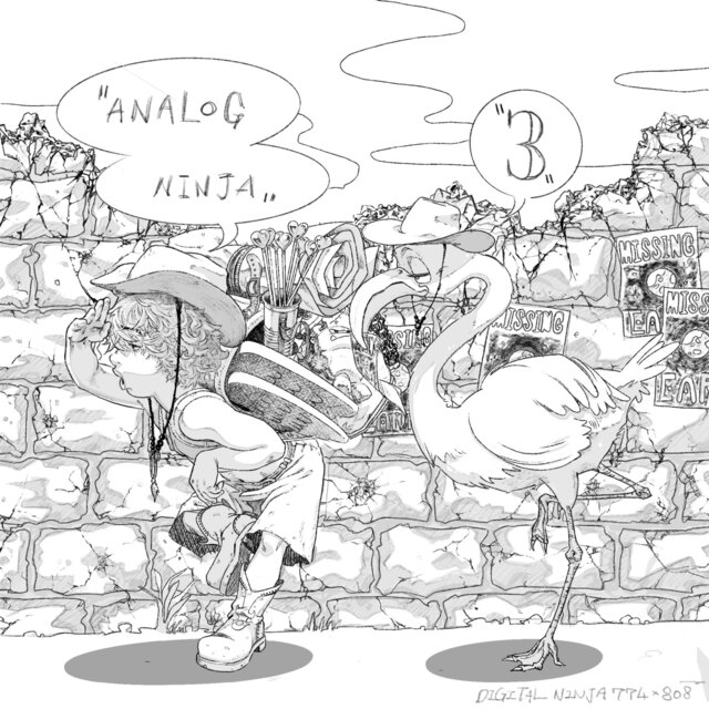 ANALOG NINJA 3