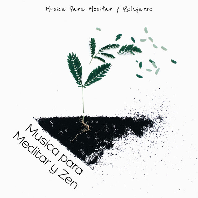 Musica para Meditar y Zen
