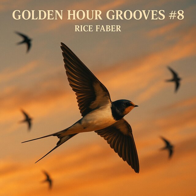 Golden Hour Grooves #8