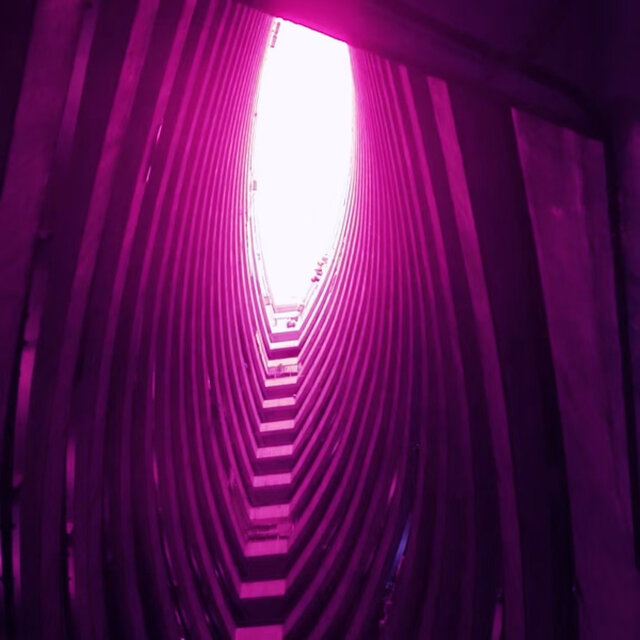 Purple Modulation