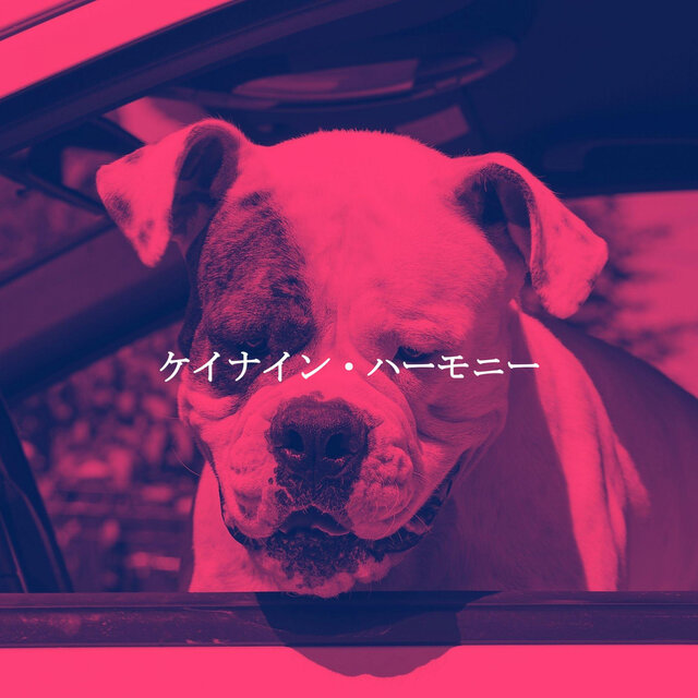ケイナイン・ハーモニー