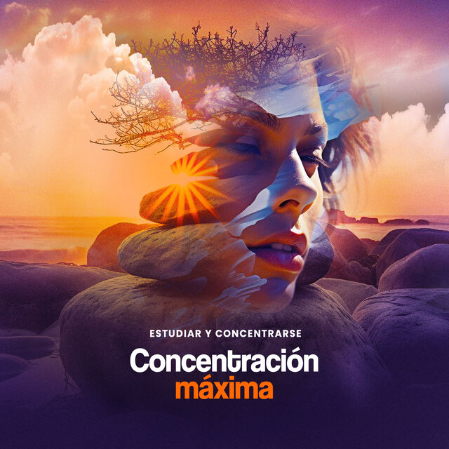 Concentración máxima