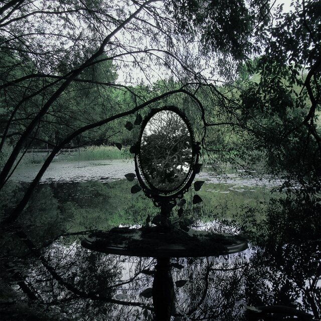 Mirrored Life