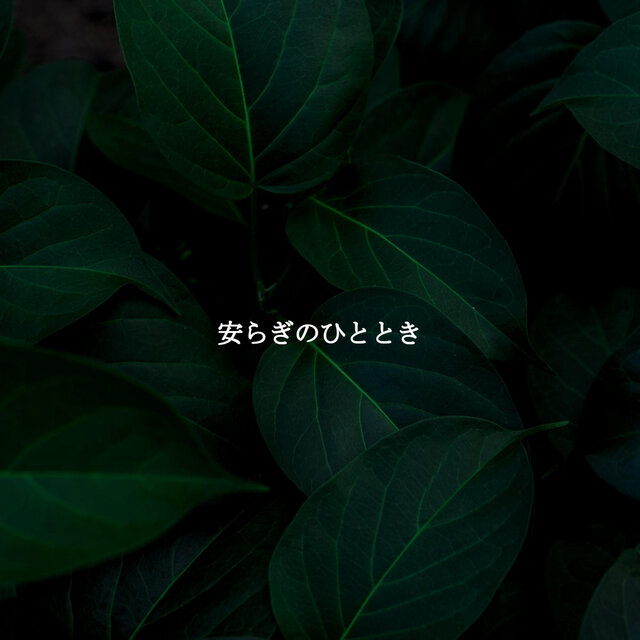 安らぎのひととき