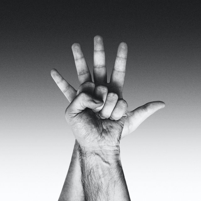Tell the Wolves (Unfold)