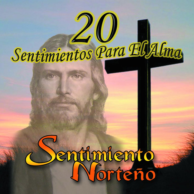 20 Sentimientos para el Alma