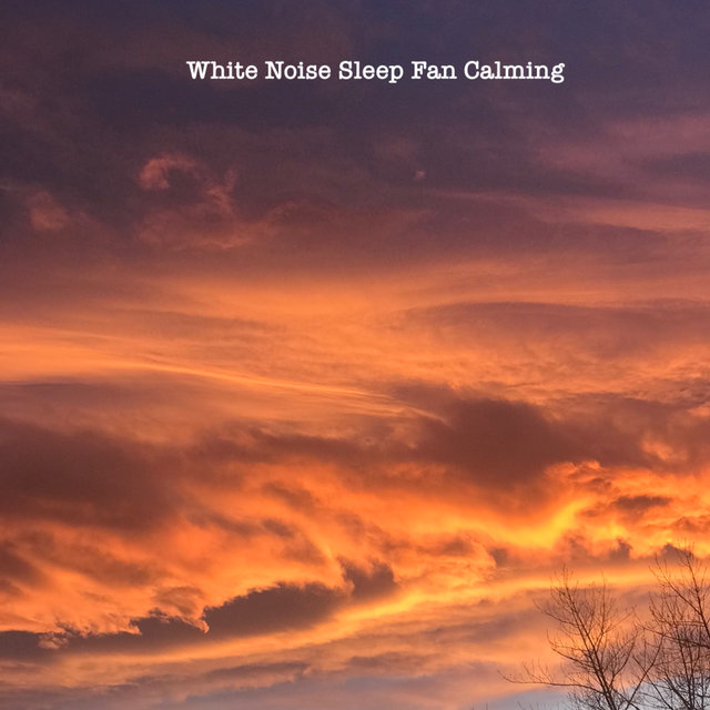 White Noise Sleep Fan Loopable