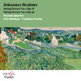 String Sextet No. 2 in G Major, Op. 36: IV. Poco allegro