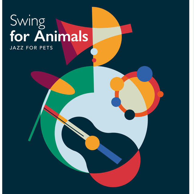 Swing for Animals