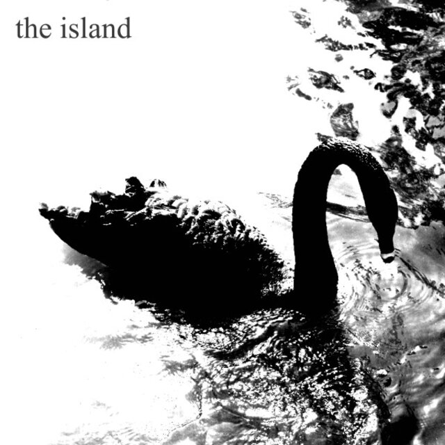 Swan