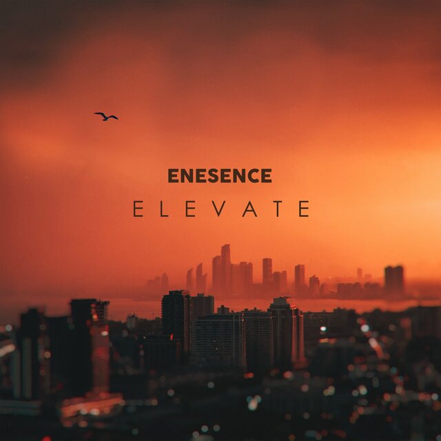 Elevate