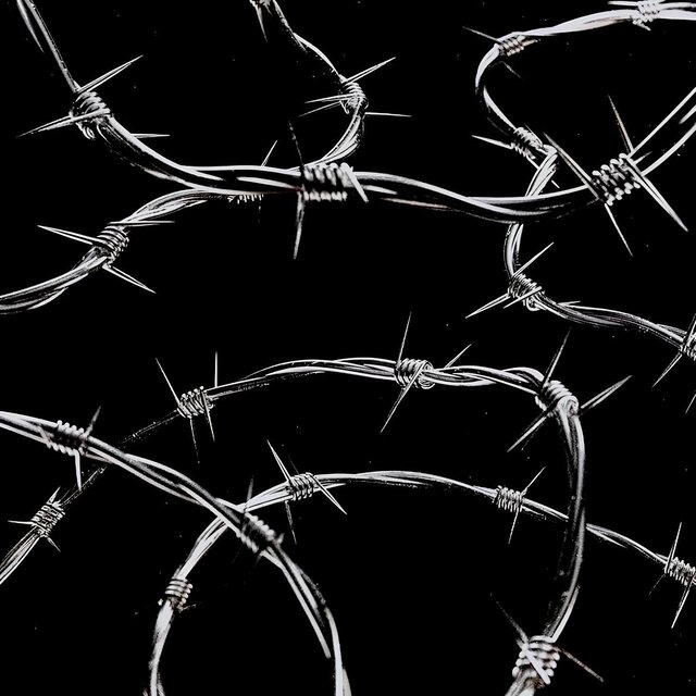 Barbed Wire