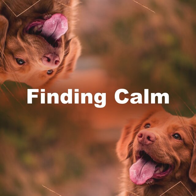 Finding Calm
