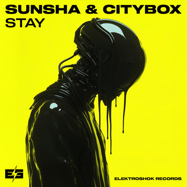Stay
