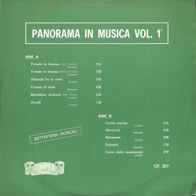 Panorama in musica Vol.1°