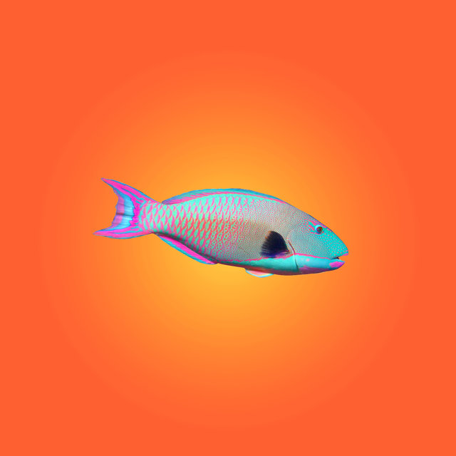 orange peel
