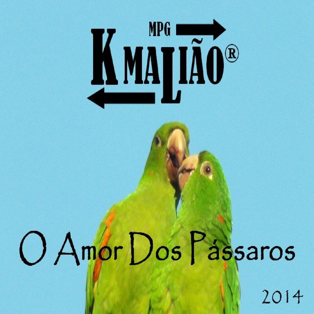 O Amor dos Pássaros - 2014