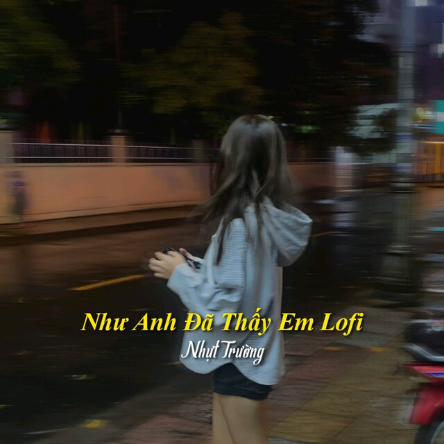 Như Anh Đã Thấy Em (Lofi)