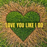 Love You Like I Do