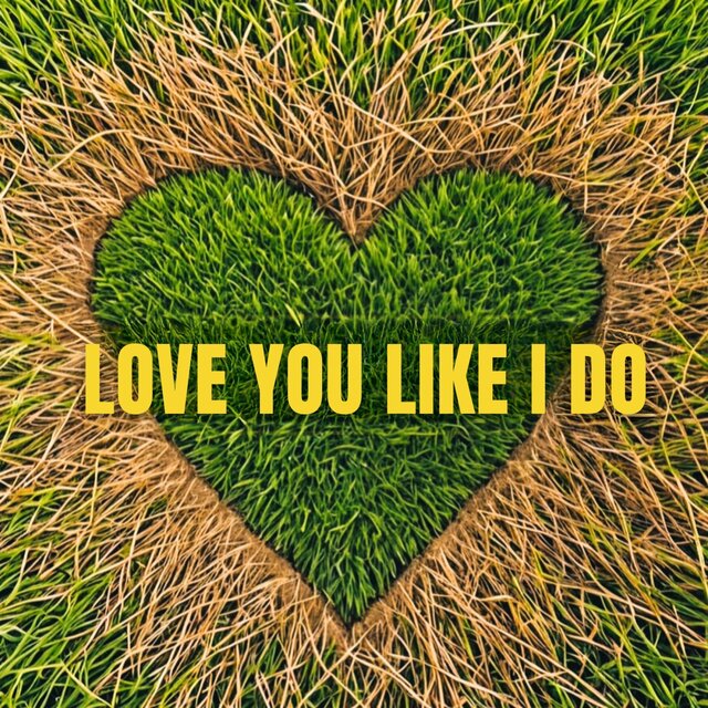 Love You Like I Do