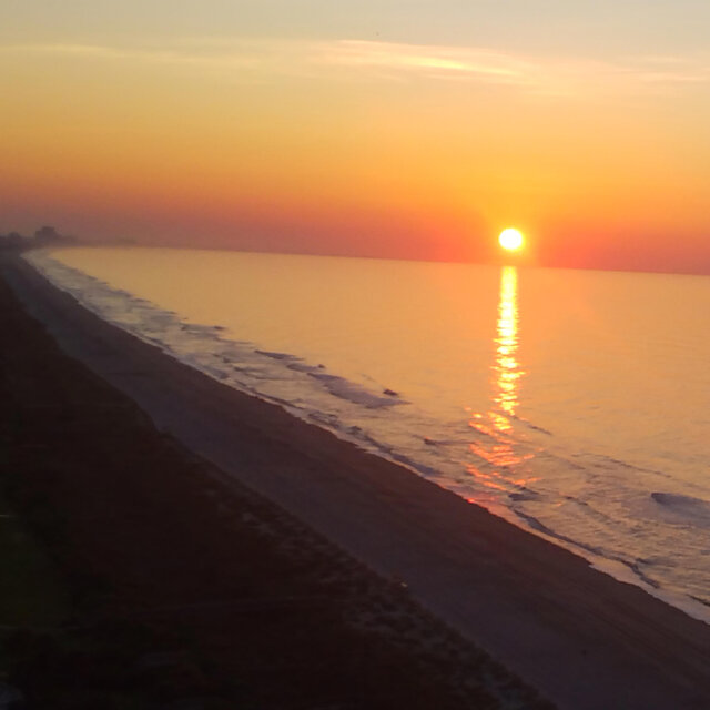 Carolina Mornings