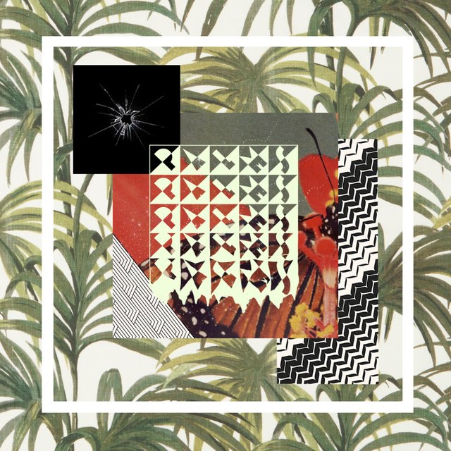 Palms