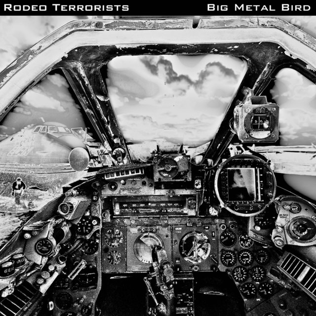 Big Metal Bird