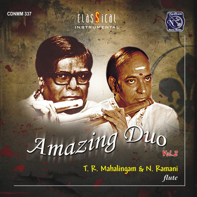 Amazing Duo Vol. 2 (Digital Only)