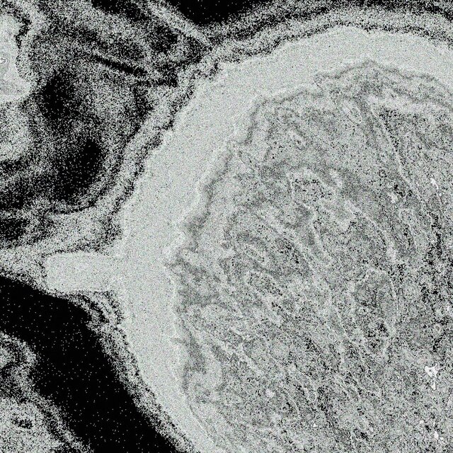 VIRUS